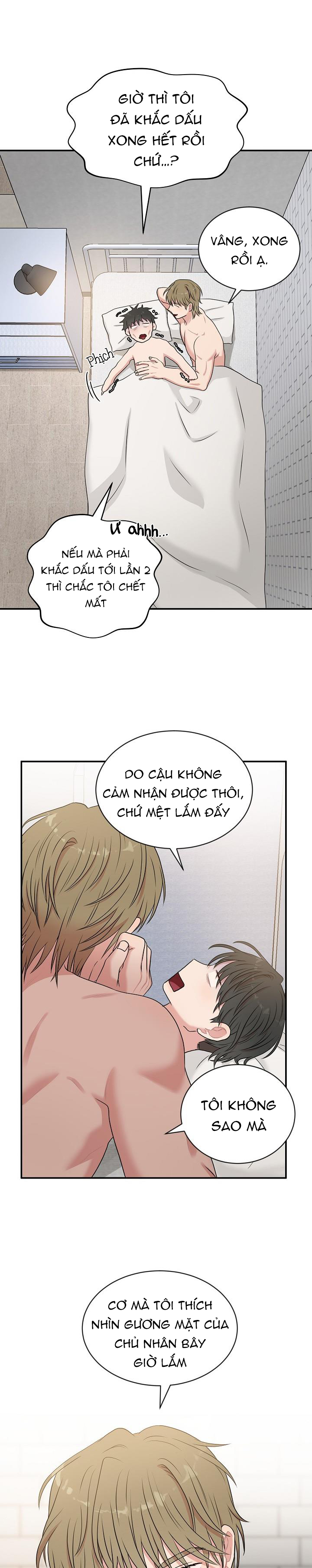 xin chủ nhân hãy khắc dấu chapter 16 6