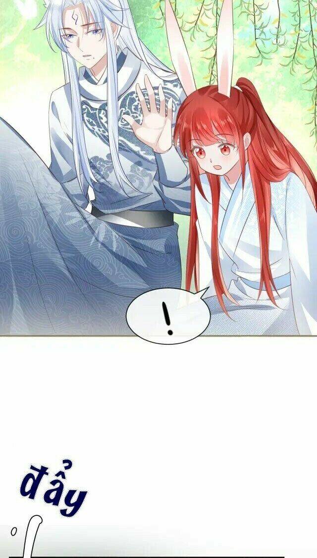 hắc hóa nam chính trực tuyến nuôi thỏ chapter 24 6