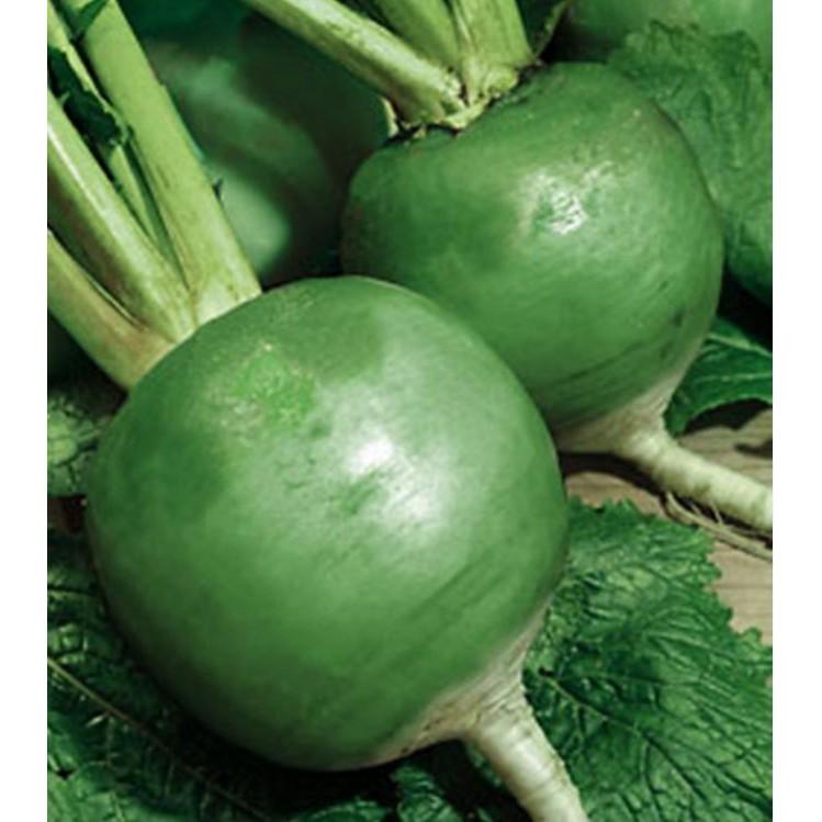 Hạt giống củ cải xanh ruột đỏ 2gram/gói