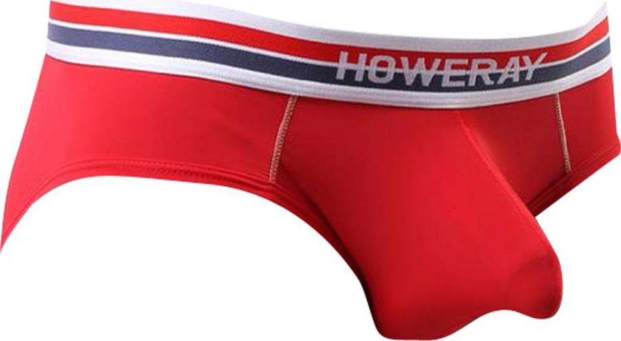 Sexy Men Low Rise Briefs Underwear Panties Underpants Shorts