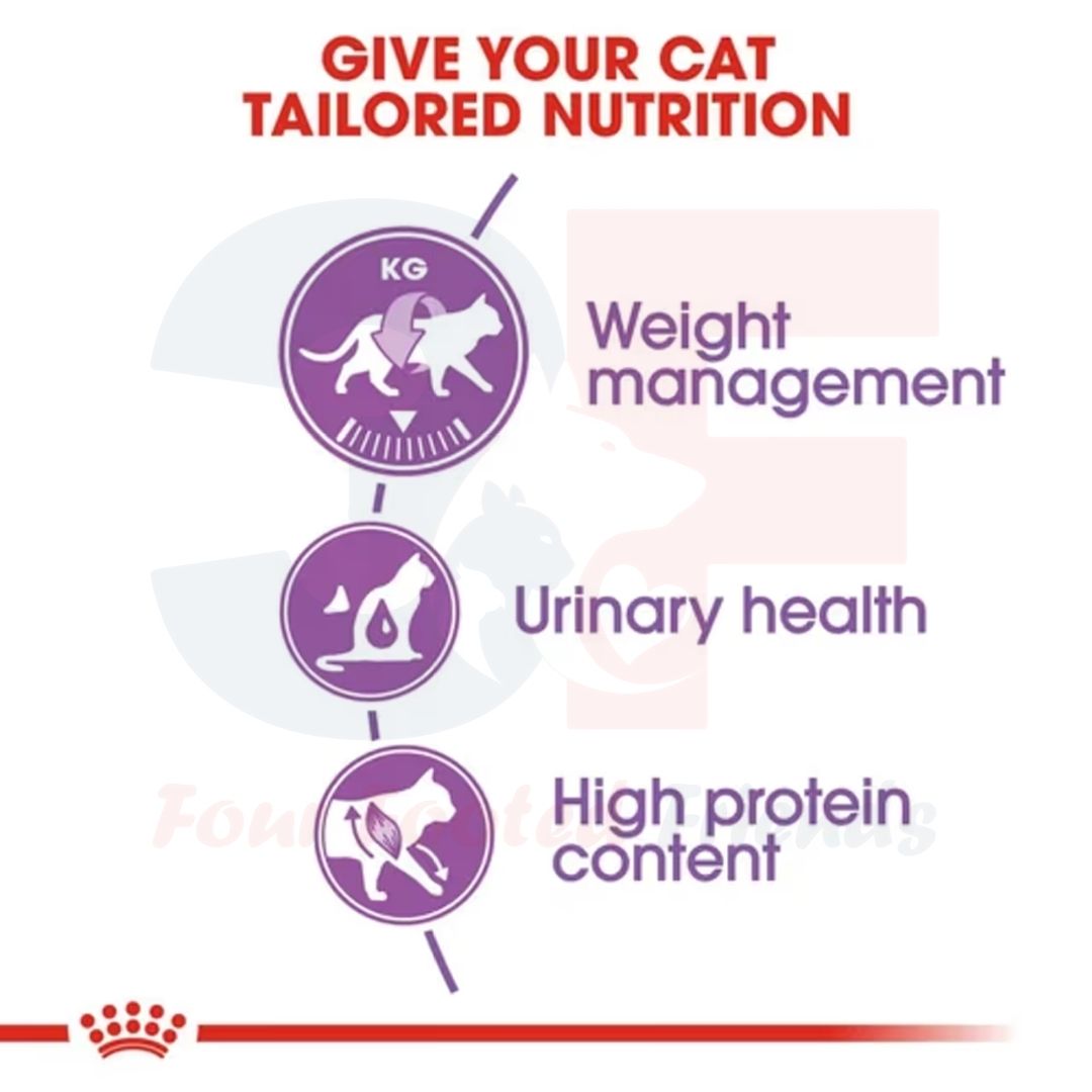 Thức Ăn Cho Mèo Triệt Sản Royal Canin Sterilised