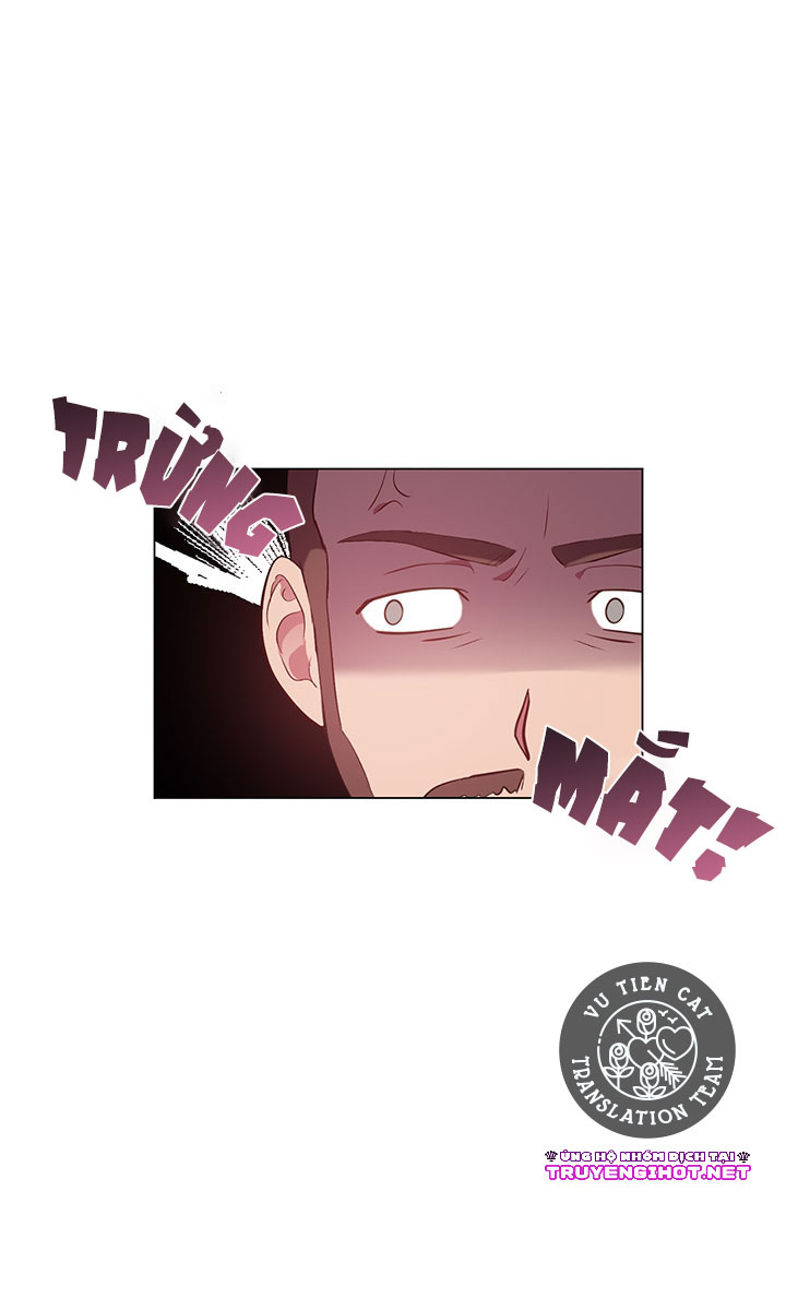 elizabeth chapter 29 31