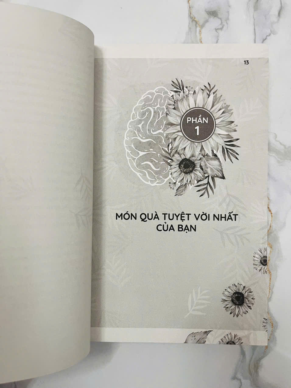 Bộ Não Siêu Phàm