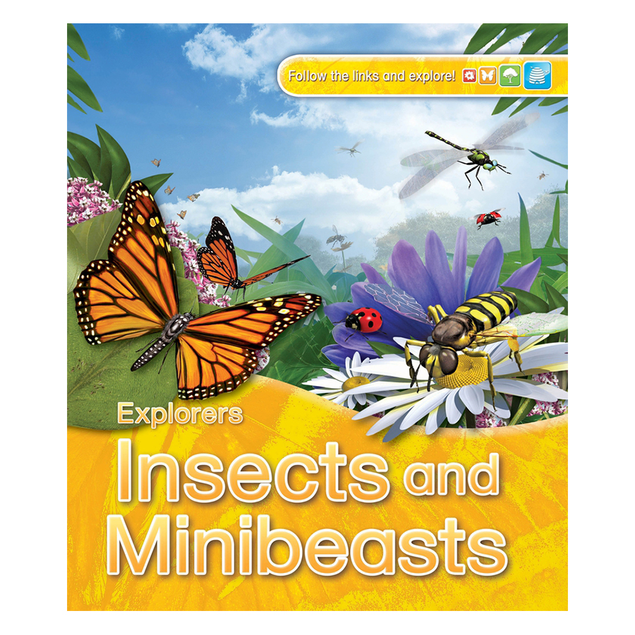 Explorers: Insects And Minibeasts