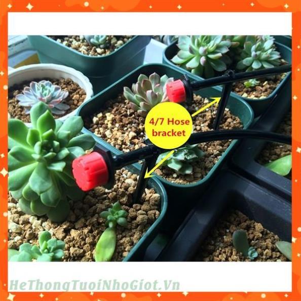 50 đầu nhỏ giọt 8 tia tưới gốc cây 206852