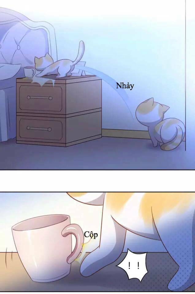 dưới móng vuốt mèo chapter 13 13