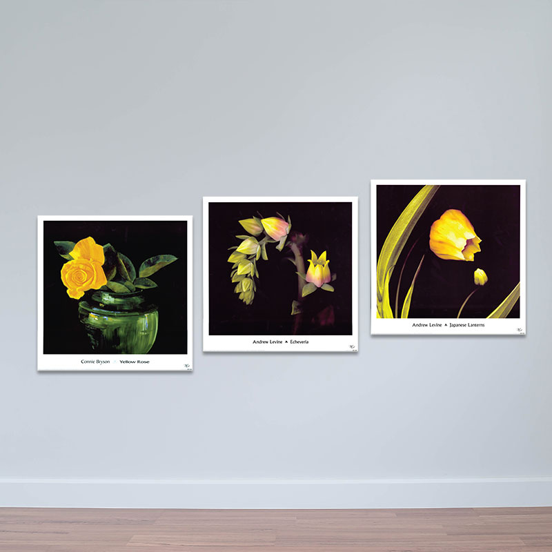 Bộ 3 tranh tĩnh vật "Lọ và hoa vàng rực rỡ" | Tranh treo tường hoa lá W3414 Canvas có viền