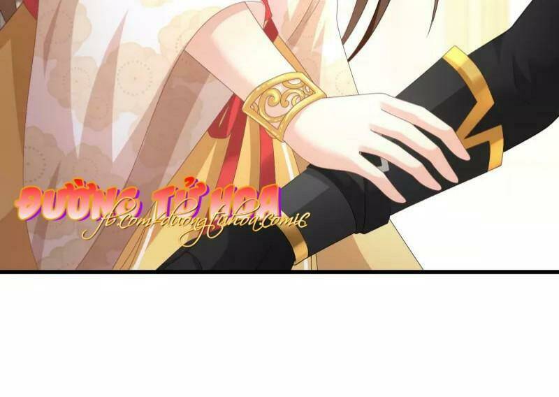 mau xuyên hướng dẫn tự cứu vật hi sinh nữ phụ chapter 2 73