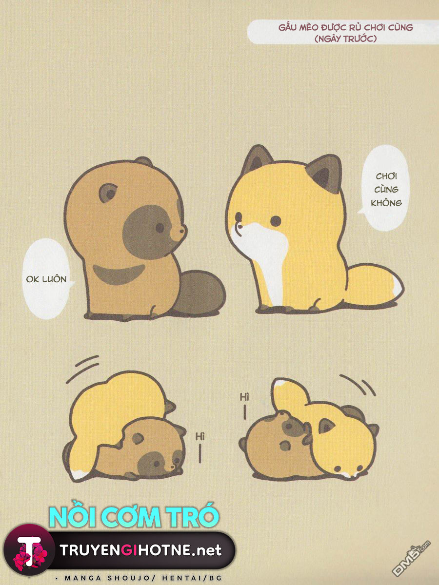 cáo và gấu mèo chapter 1 9