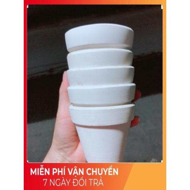 Chậu Trồng Cây
