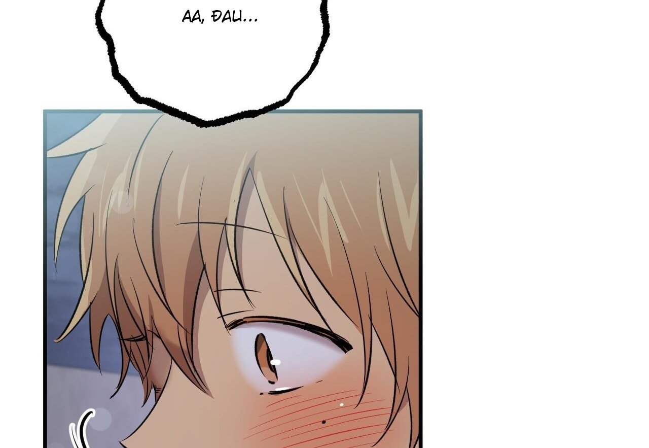 những chú thỏ của hapypy chapter 60 99