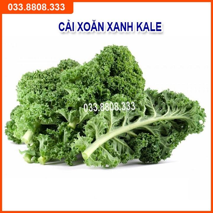 Bộ 5 Loại Hạt Giống Rau Cải Bất Kỳ - Rau Trồng Chậu Nhanh Thu Hoạch