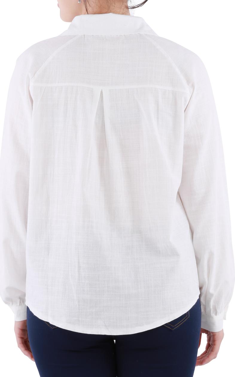 Áo Sơ Mi Nữ Cotton AC0001