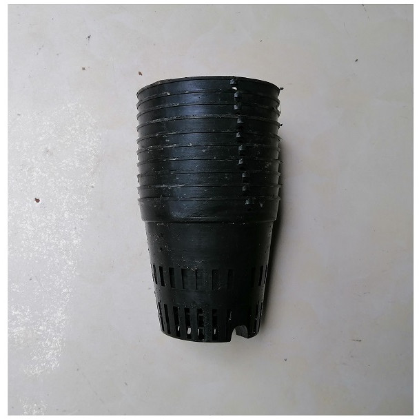 10 CHẬU NHỰA FI 12 TRỒNG LAN TRỒNG RAU ƯƠM MẦM