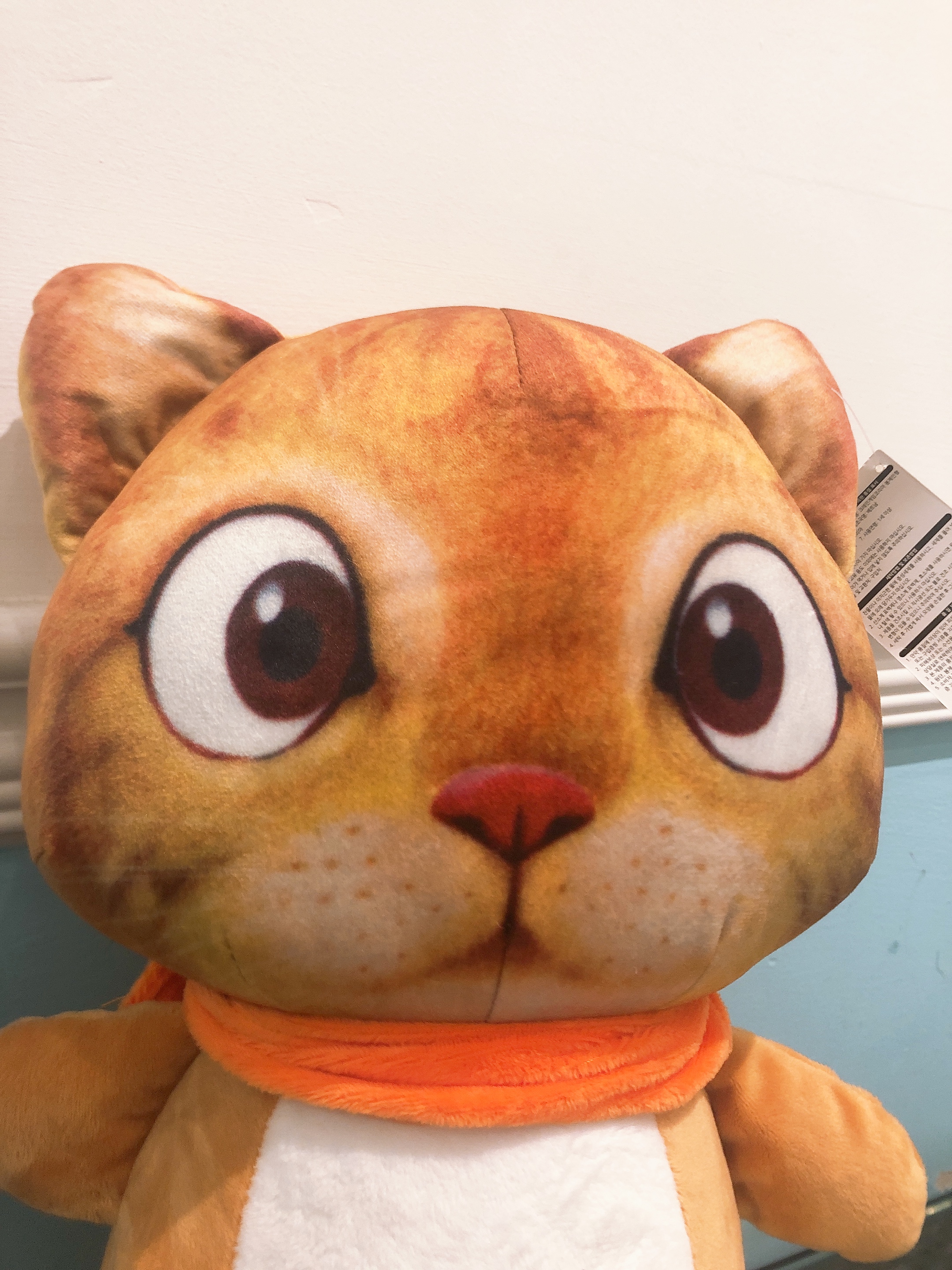 Gấu bông mèo cam mặt 3D