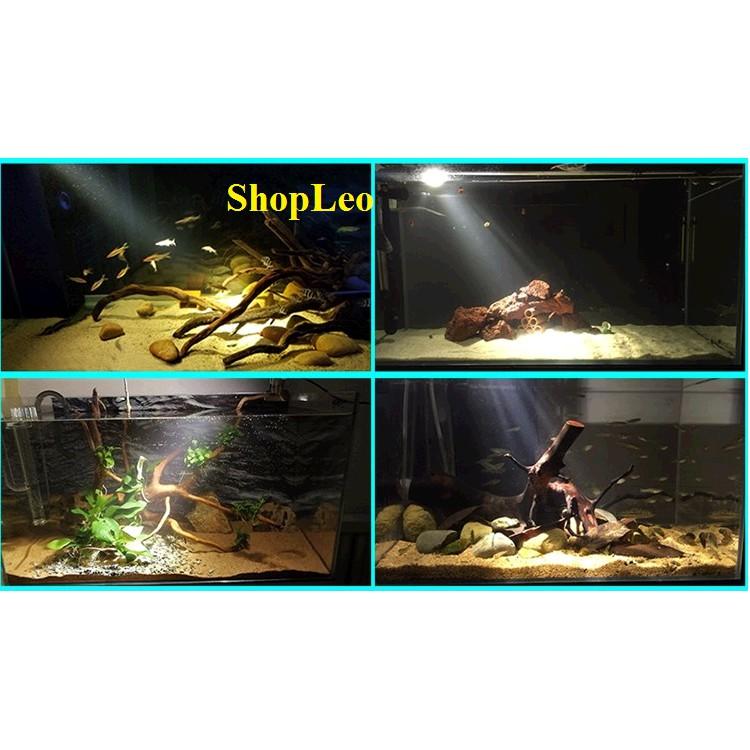 ĐÈN LED SIÊU RỌI 3W 3 CHẾ ĐỘ MÀU - ĐÈN RỌI BIOTOP