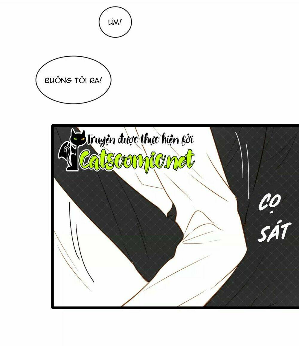 điều giáo quan hệ chapter 17 2