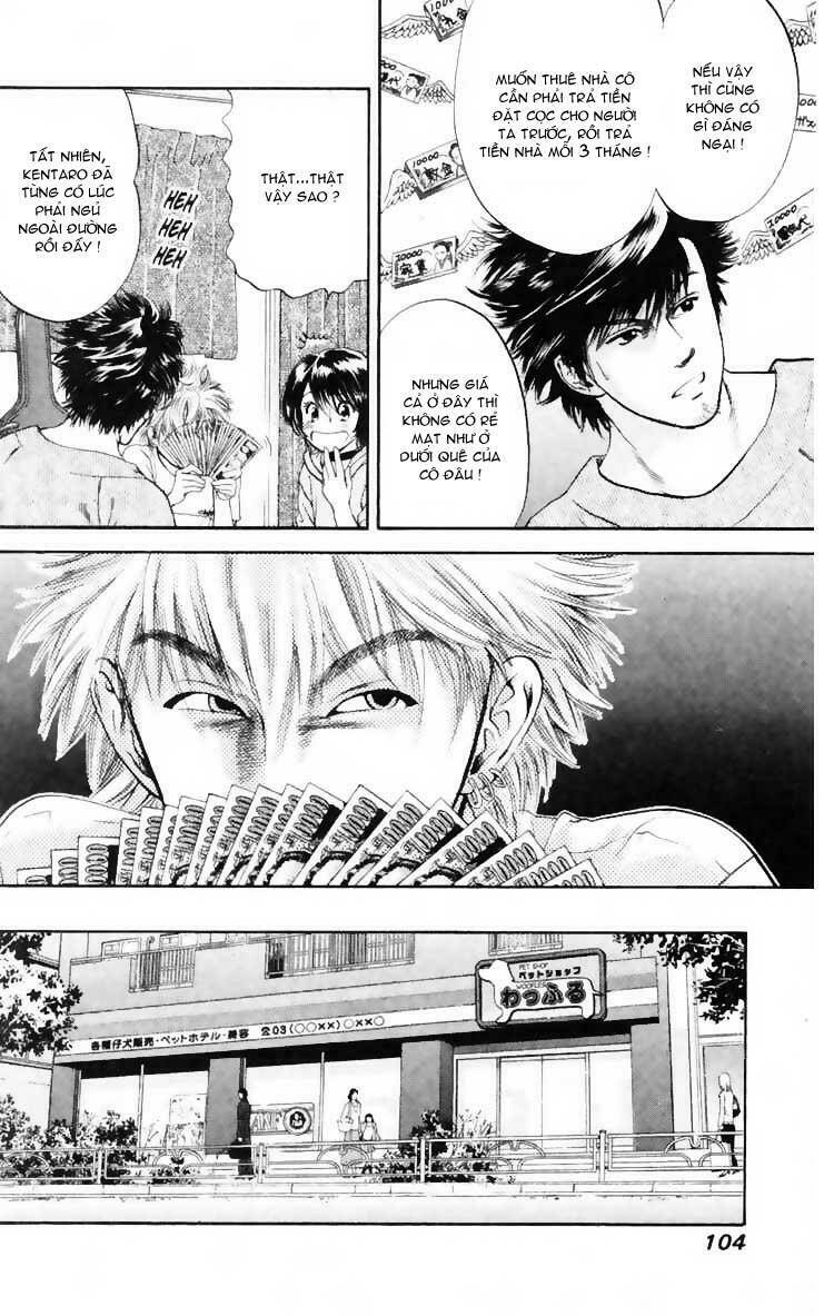 cô nàng yêu chó chapter 3 16