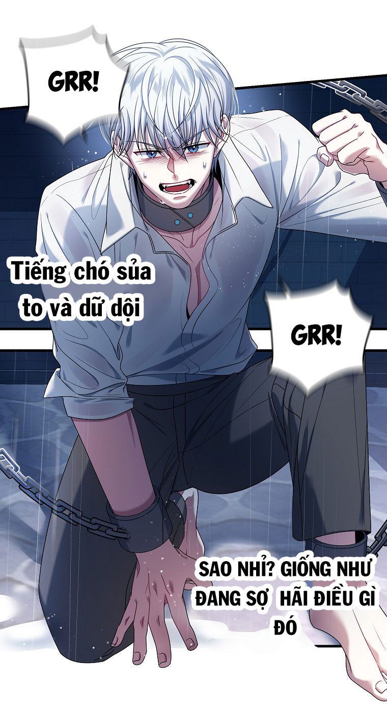 tôi đã gặp nam chính trong ngục tù chapter 4 50