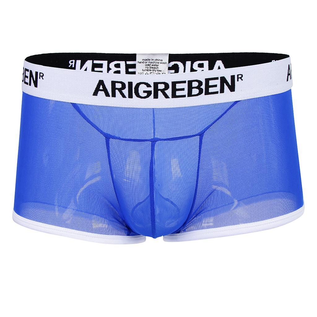 Men Mesh Underwear Thong Bikini Briefs Knickers Soft Sleepwear Swimsuit - Blue, L