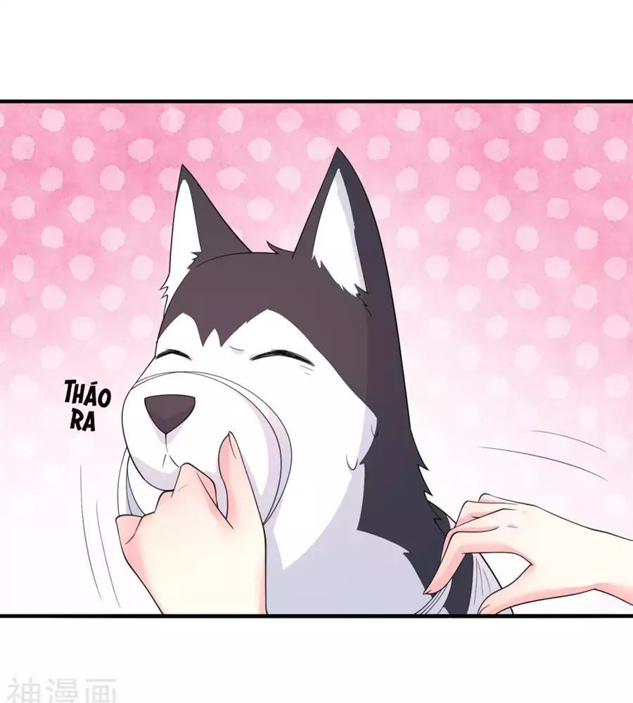 cuộc sống hào môn của vu nữ chapter 42 60