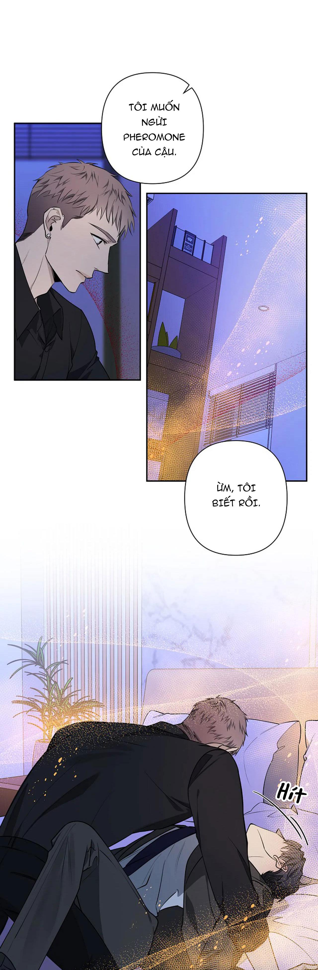 đêm dịu dàng chapter 38 33