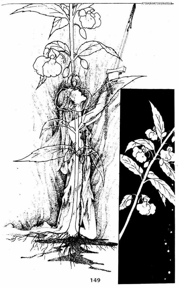 akuma no hanayome (bride of deimos) chapter 4.2 57