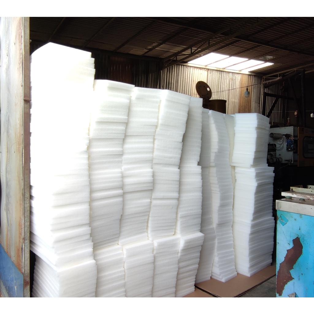 Mút ươm hạt giống trồng cây gồm 110 viên