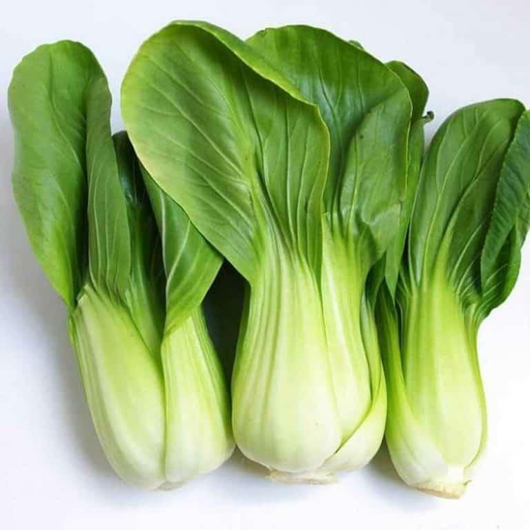 Hạt giống Cải Thìa cọng xanh