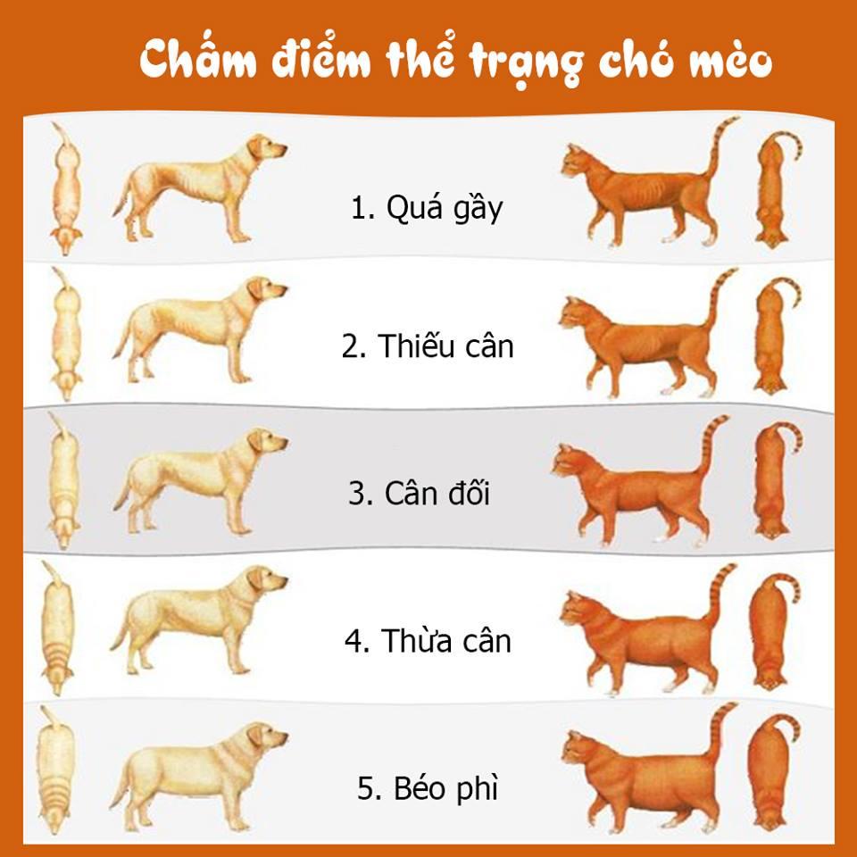 Thức ăn hạt cho chó - 1.5KG SMARTHEART DÀNH CHO CHÓ CON VỊ BÒ VÀ SỮA
