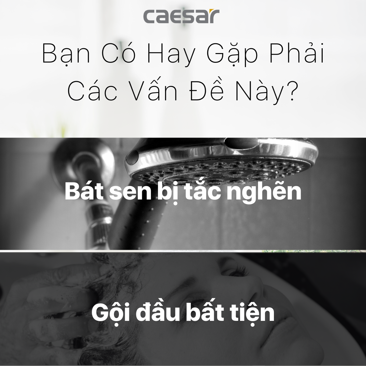 Bát "Tay" Sen 1 Chức Năng CAESAR SH212
