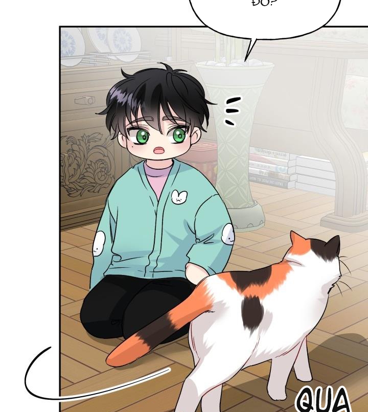 xác suất tình yêu chapter 50 21