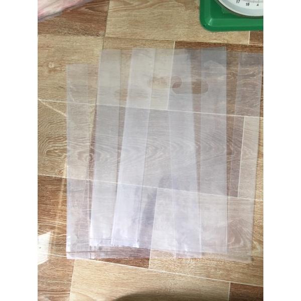 Combo 10kg túi hột xoài PE trong suốt