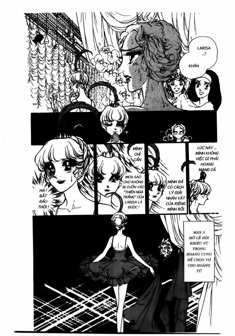 swan - vũ khúc thiên nga chapter 42 8