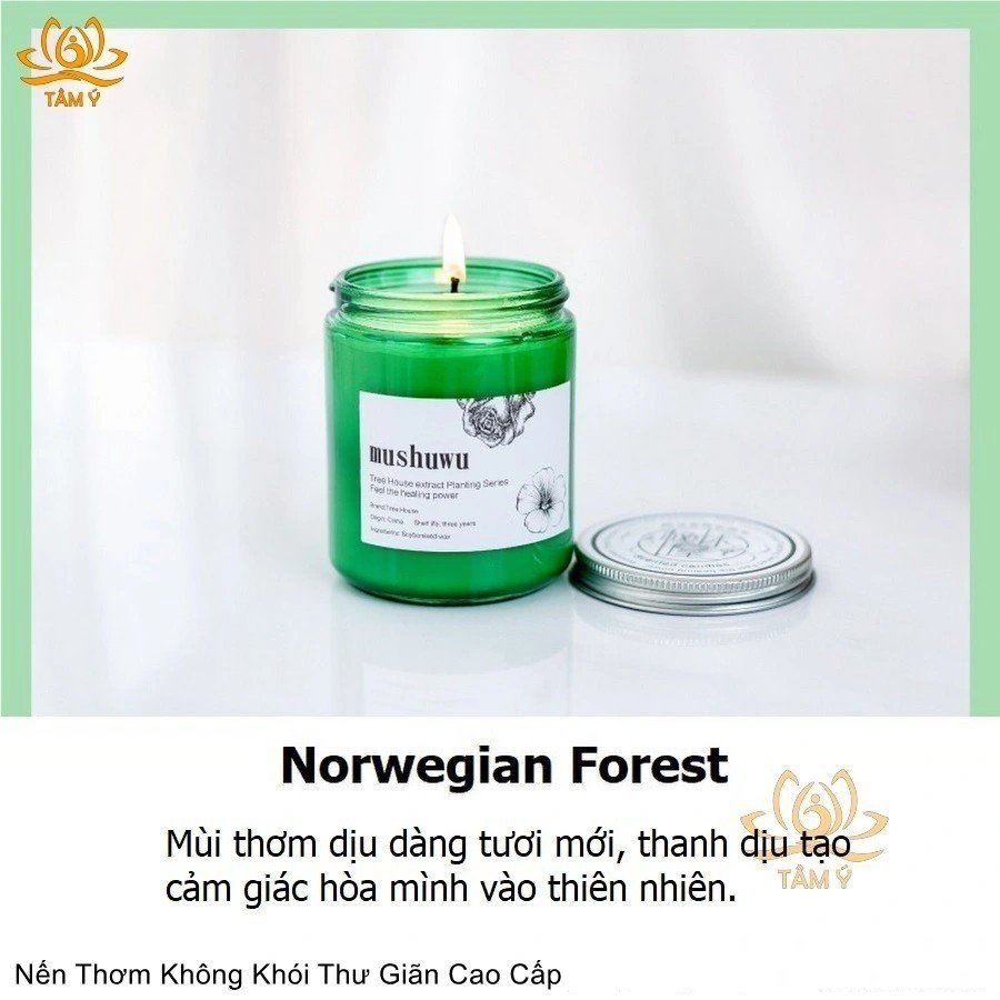 |Giá sốc| Nến thơm cao cấp chuẩn dùng trong khách sạn 5 sao, tinh dầu, bơ thực vật, không khói, không hoá chất độc hại