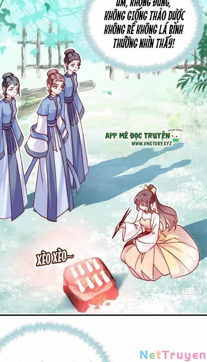 lại bị bệnh chiều chuộng quấn lấy chapter 8 8