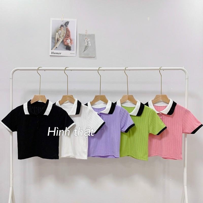 Áo polo croptop thun gân mịn siêu hot