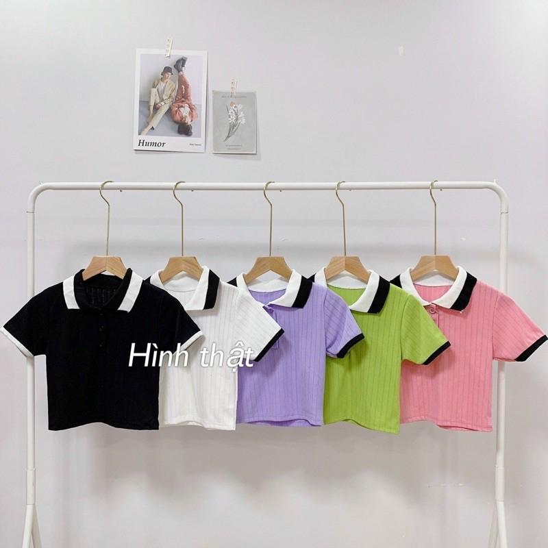 áo polo croptop thun gân mịn siêu hot