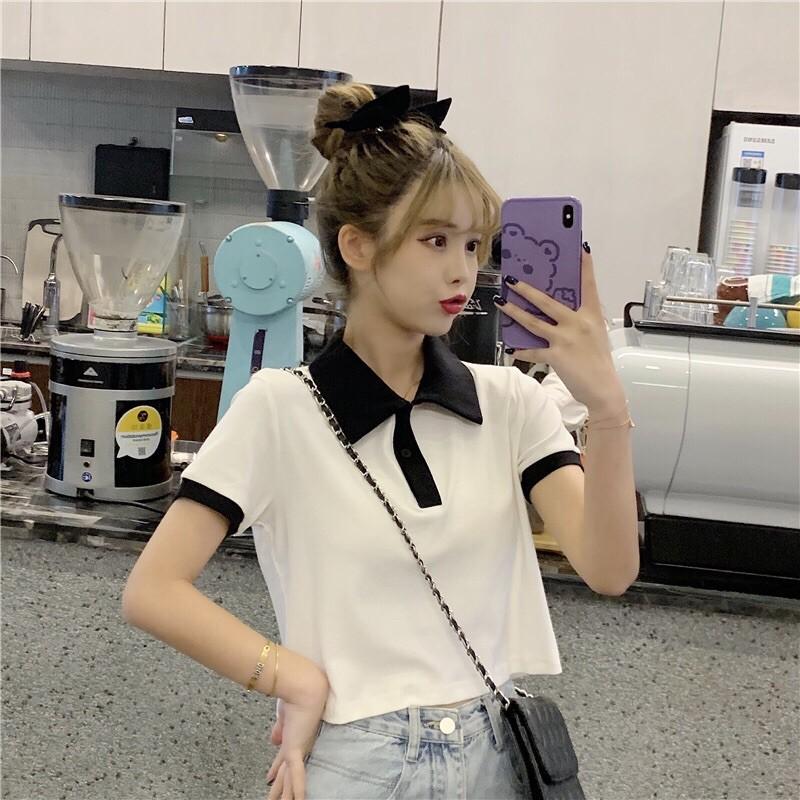 Áo croptop rộng cổ trụ phối màu basic - AO053