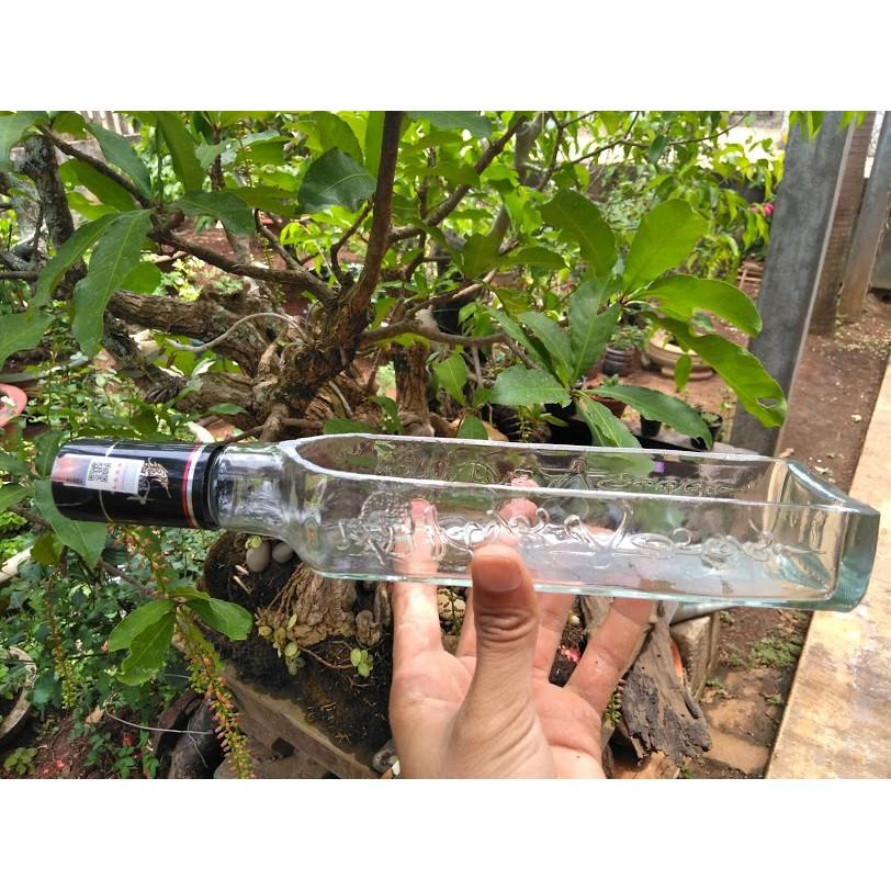 Chậu thủy tinh làm từ chai, made hand