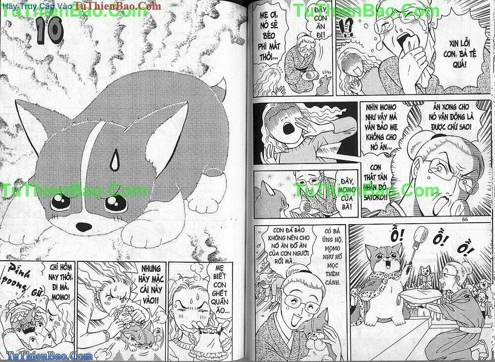 chó con mo mo chapter 2 34