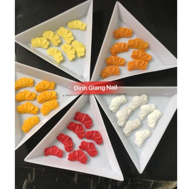 Hoa bột(hoa cúc nửa