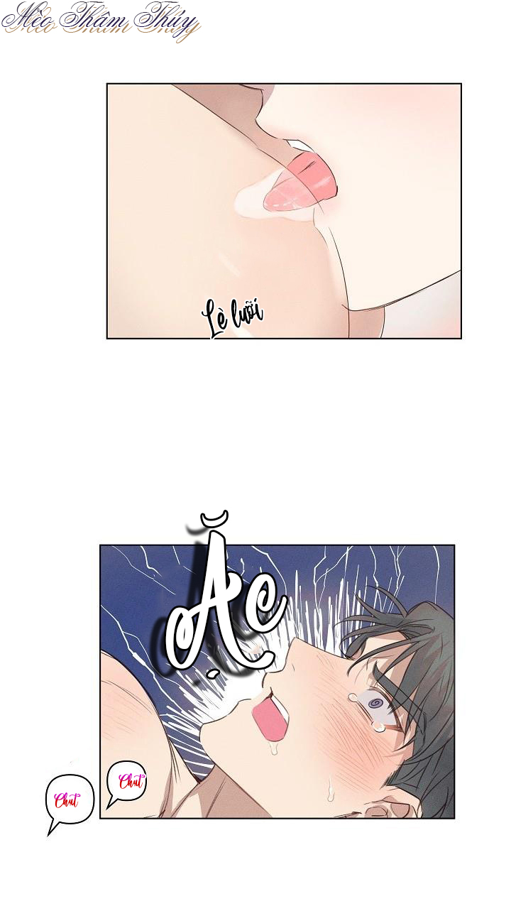 nơi tình yêu định mệnh chapter 3 21