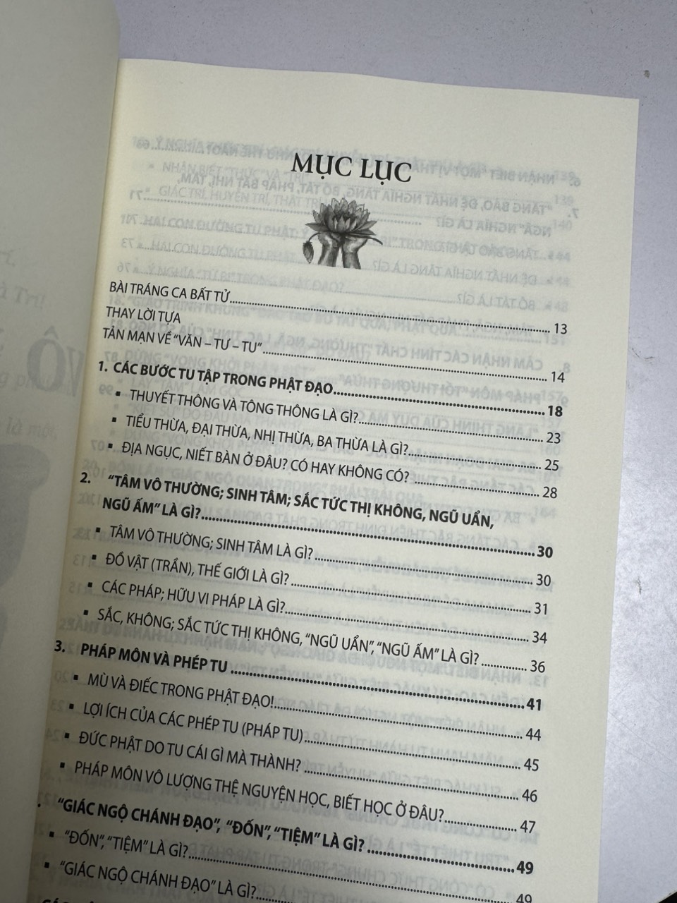 (Tái bản 2024) VÔ ĐỐI MÔN – Lý Tứ – HaNoi Books