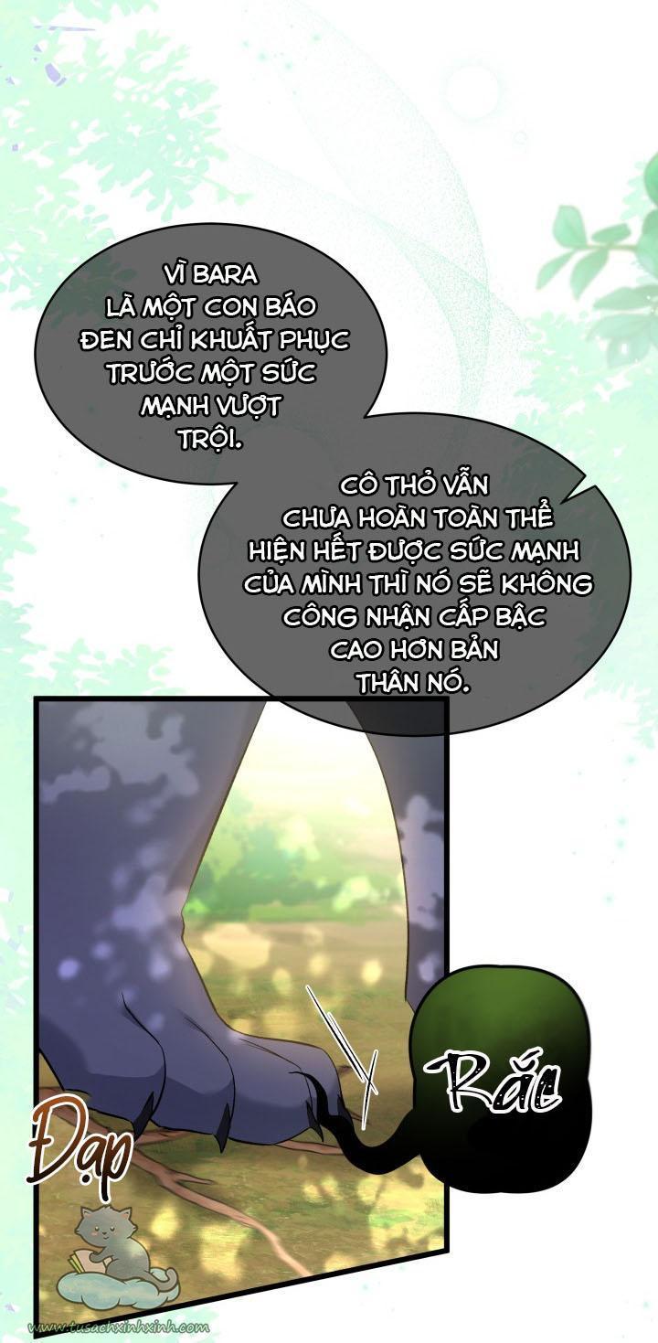 quan hệ cộng sinh giữa báo đen và thỏ trắng chapter 61 22