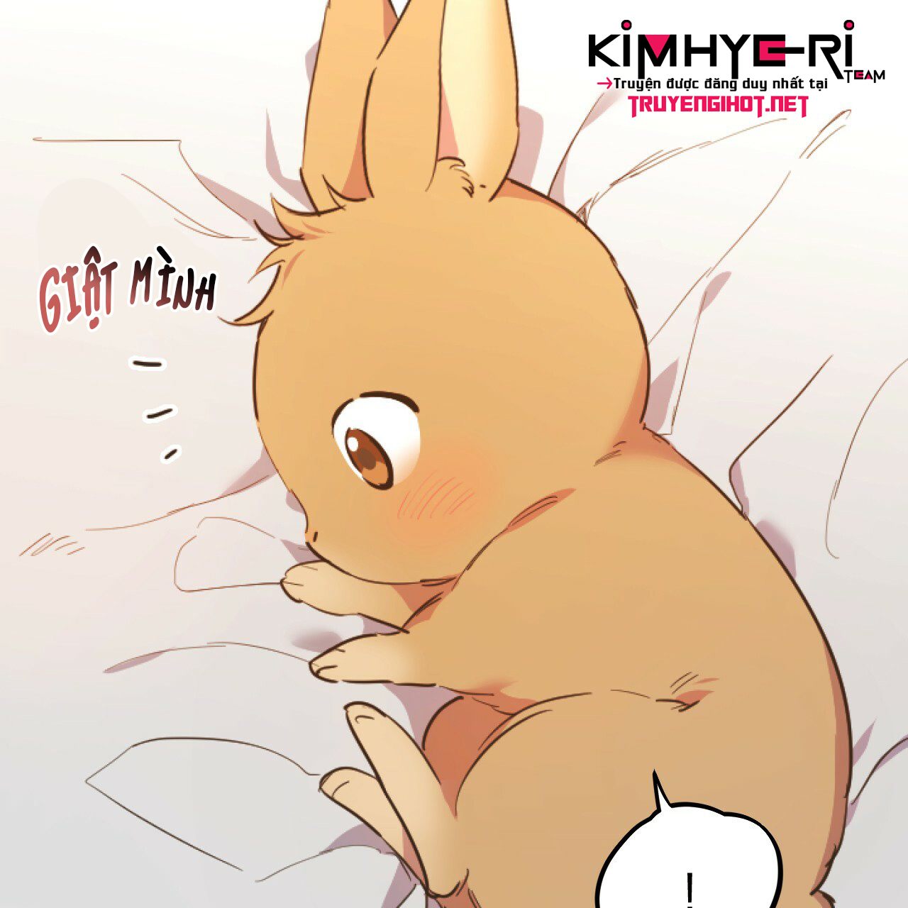 những chú thỏ của hapypy chapter 1 44