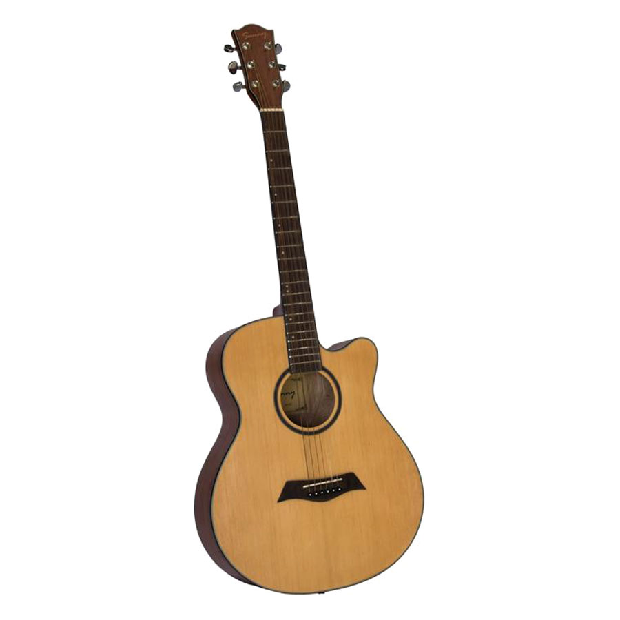 Đàn Guitar Acoustic Sunny SN720A