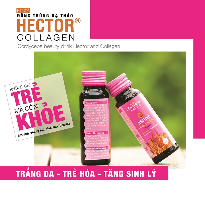 Hộp 10 chai Đông Trùng Hạ Thảo Hector Collagen tặng kèm ví duyên dáng Việt Nam