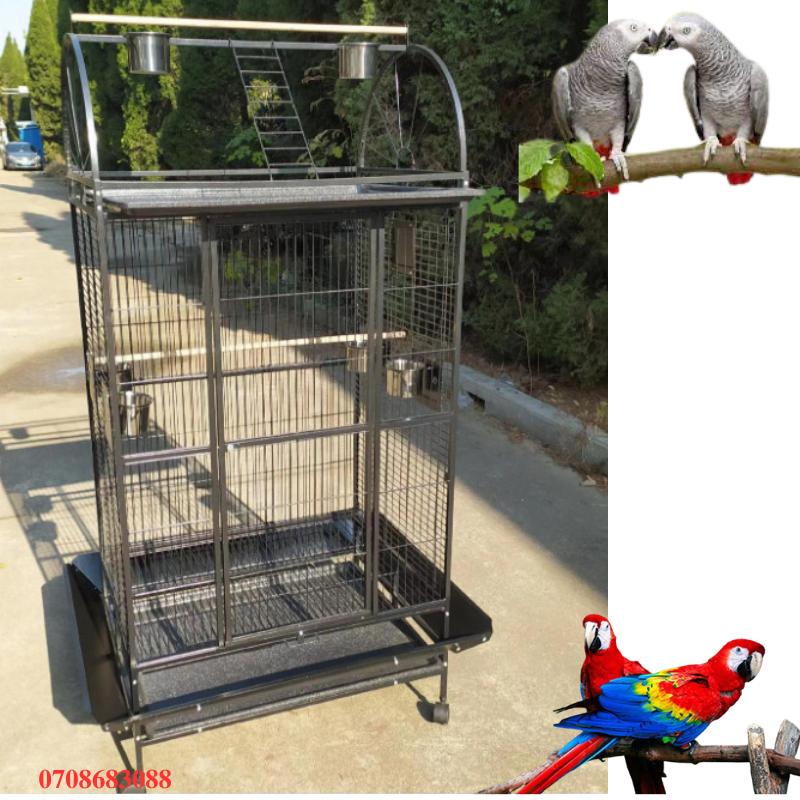 Chuồng Lồng KÍCH THƯỚC 100 x 78x 170 cm mã 009 dành vẹt lớn như xám, amazon, xích , coctatoo, macaw, ....