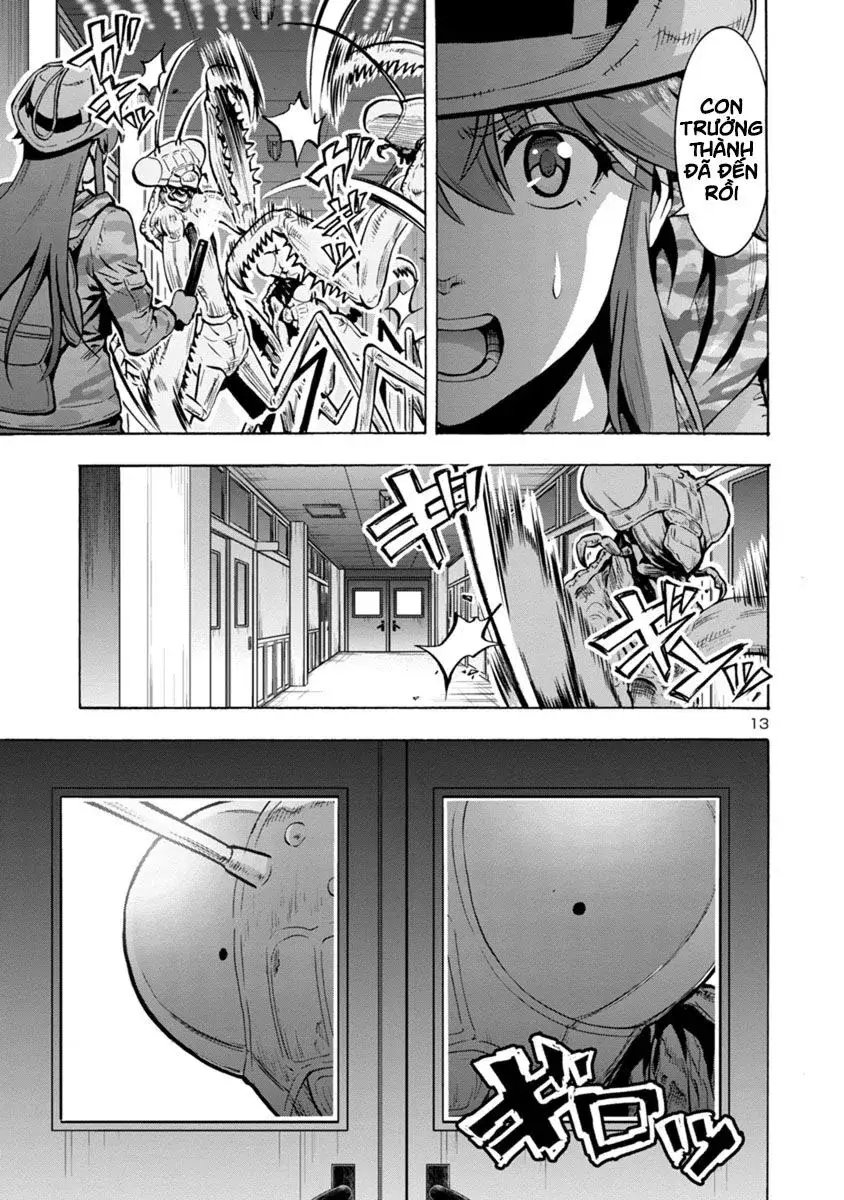 Siêu Đảo Côn Trùng chapter 14.2 13